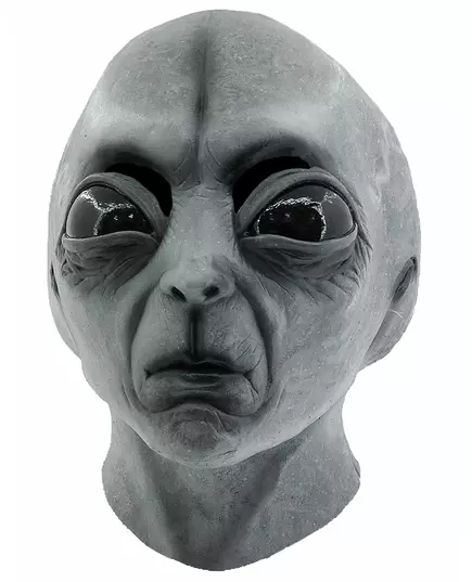 Volledig Alien Zone 51 masker voor volwassenen, image 2