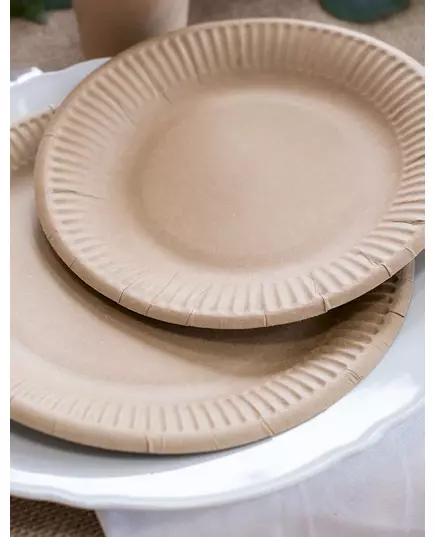 10 Assiettes en carton kraft 23 cm, image 2
