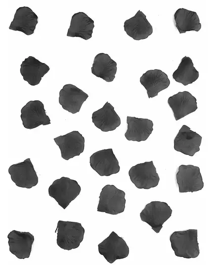 100 zwarte stoffen rozenblaadjes 5 cm, image 2