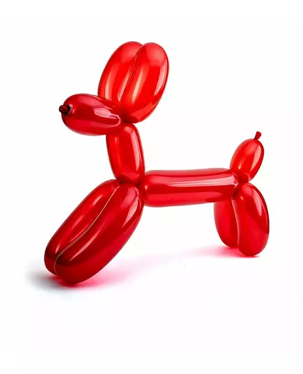 15 modelleer ballonnen, image 2