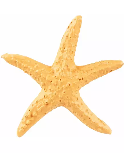 4 étoiles de mer en résine de 4,5 cm, image 2