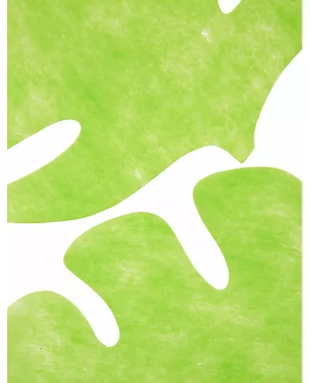 4 bladvormige placemats in anijsgroen 35 x 40 cm, image 2
