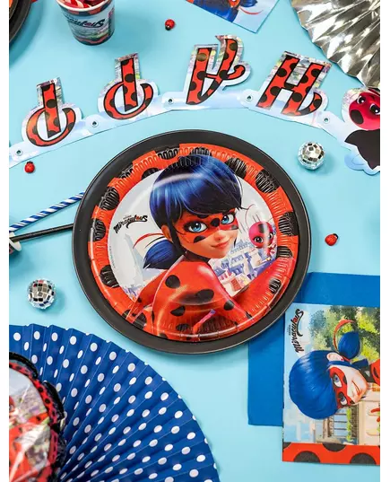 8 kartonnen Miraculous Ladybug™ borden, image 2