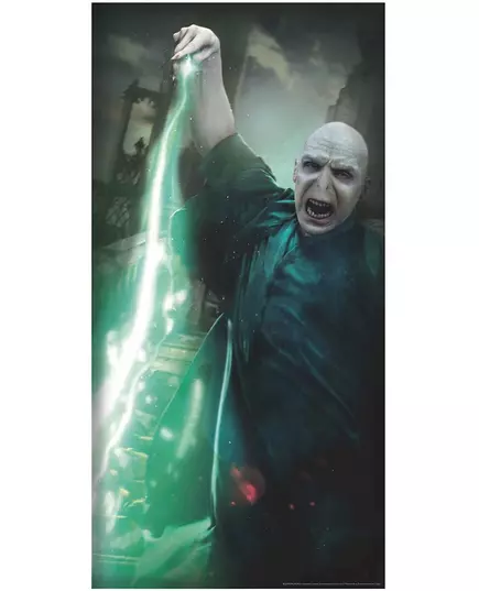 Décoration de porte Voldemort Harry Potter™, image 2