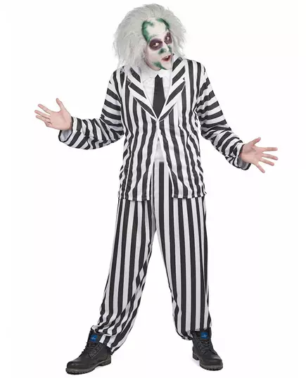 Verkleedkostuum Beetlejuice™voor heren, Maat: Medium/Large, image 2