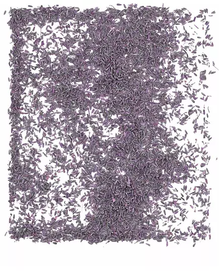 1 kg zak natuurlijke lavendelbloemen, image 2