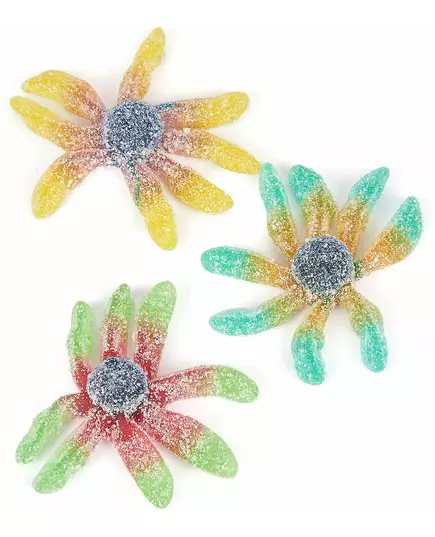 Sachet bonbons poulpes - 1 kg, image 2