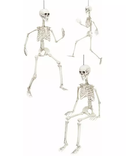 Skeletten decoratie voor Halloween, image 2