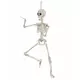 Décoration squelette articulé 48cm