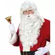 Barbe Père Noël luxe