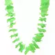 Groene hawaiiaanse krans