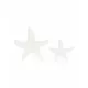 12 Witte Zeester Houten Confetti 3 en 2 cm