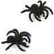 2 Araignées 10 cm Halloween