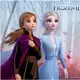 20 papieren Frozen 2™ servetten