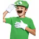 Set accessoires Luigi™ Enfant