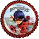 Kleine aluminium Ladybug™ ballon