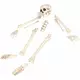Set van 12 skelet botjes