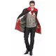 Déguisement vampire homme gris Halloween