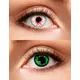 lentilles duo sang et vertes pour adultes
