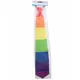 Cravate arc-en-ciel adulte, image 2