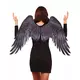Ailes d'ange gothique en tissu noires adulte, image 2
