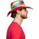 Cowboyhoed met regenboogpailletten voor volwassenen, image 2