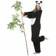 Panda outfit voor vrouwen, image 2