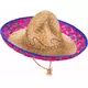 Mexicaanse Sombrero roze en blauwe randvolwassene, image 2