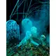 Zombie versiering voor Halloween, image 2