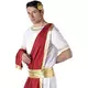 Driekleurige Romeinse keizer outfit voor mannen, Maat: Large, image 2